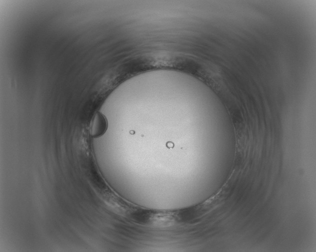 X0000062890175200601271657