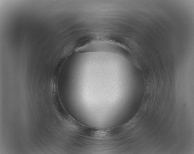 X0000062890176200601271657