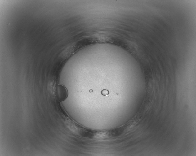 X0000062890177200601271657