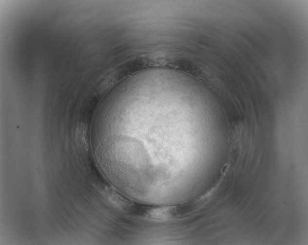 X0000062890178200601271657