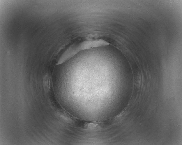 X0000062890180200601271657