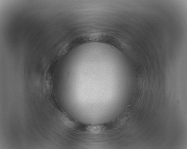 X0000062890181200601271657