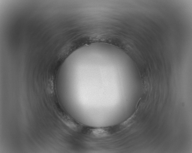 X0000062890183200601271657