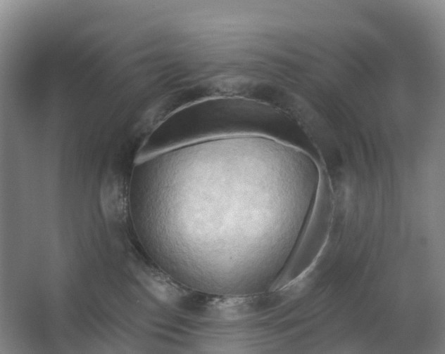 X0000062890186200601271657