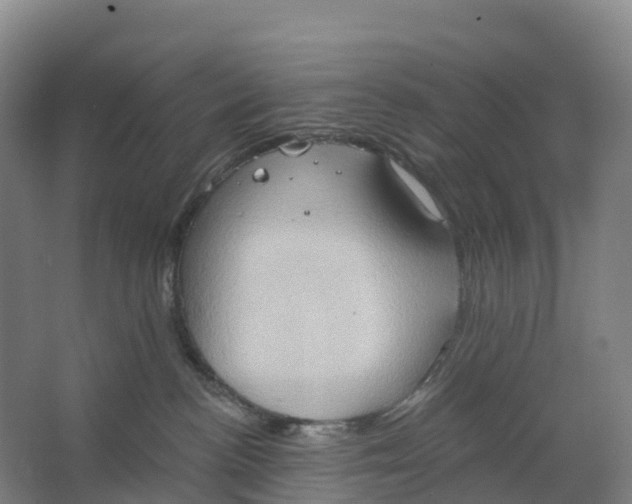 X0000062890188200601271657