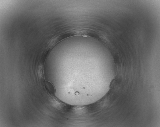 X0000062890189200601271657