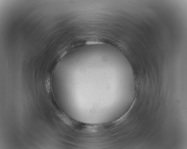 X0000062890190200601271657