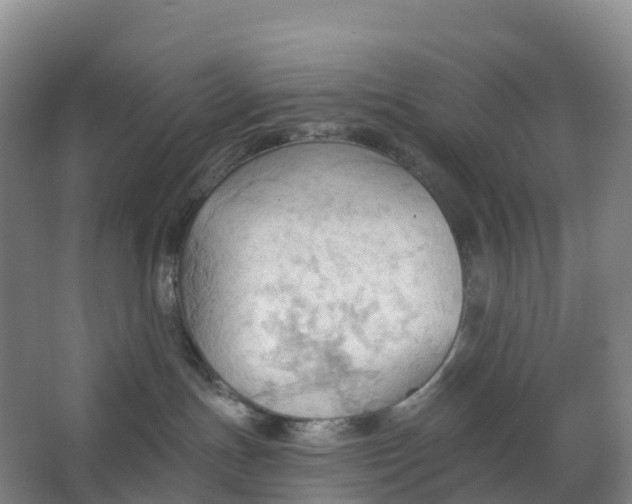 X0000062890191200601271657