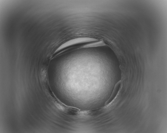 X0000062890192200601271657