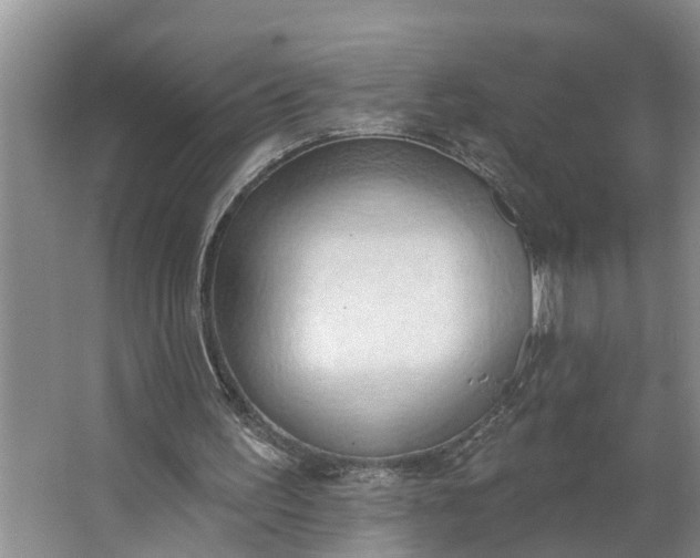 X0000062890195200601271656