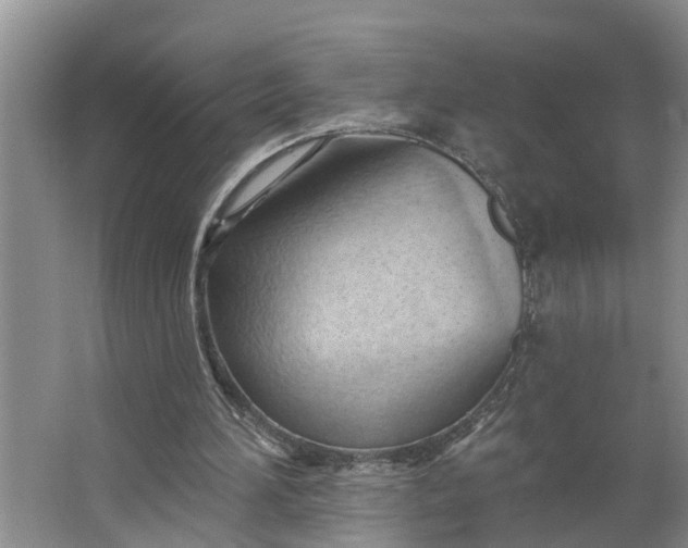 X0000062890196200601271656