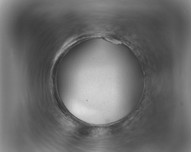 X0000062890198200601271656