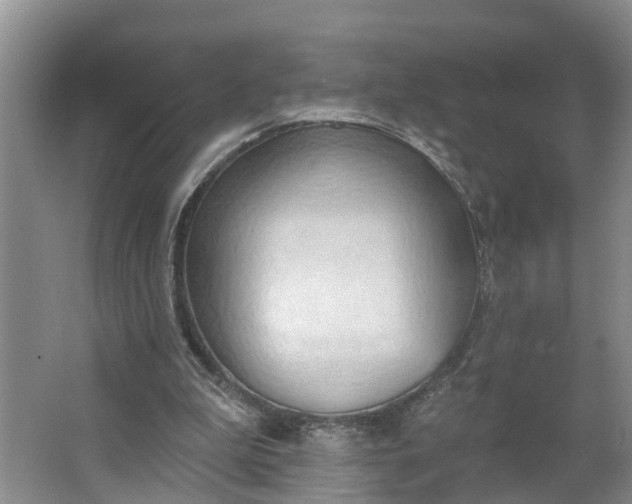 X0000062890199200601271656