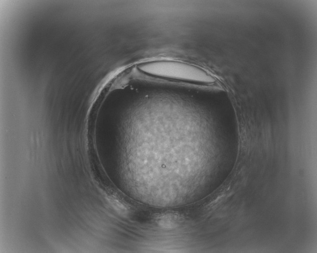 X0000062890200200601271656