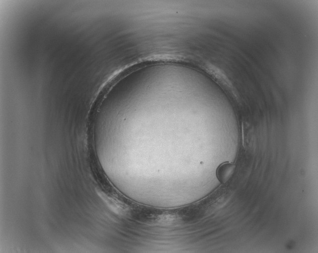 X0000062890204200601271656