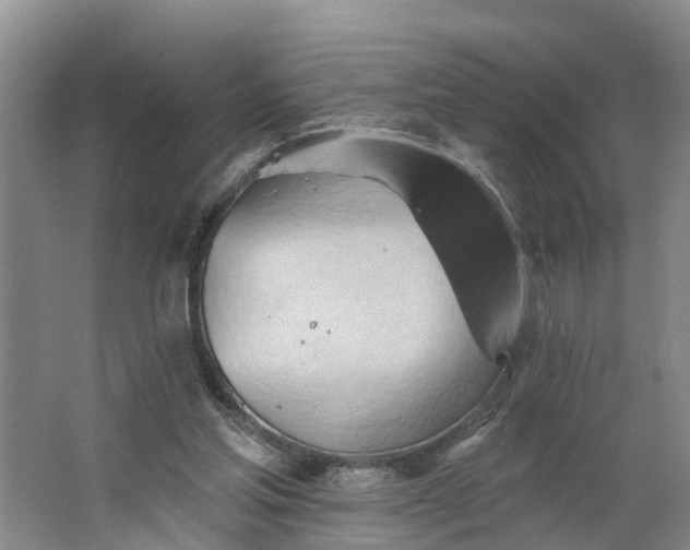 X0000062890205200601271656