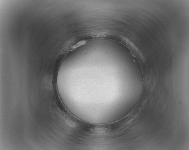 X0000062890209200601271656