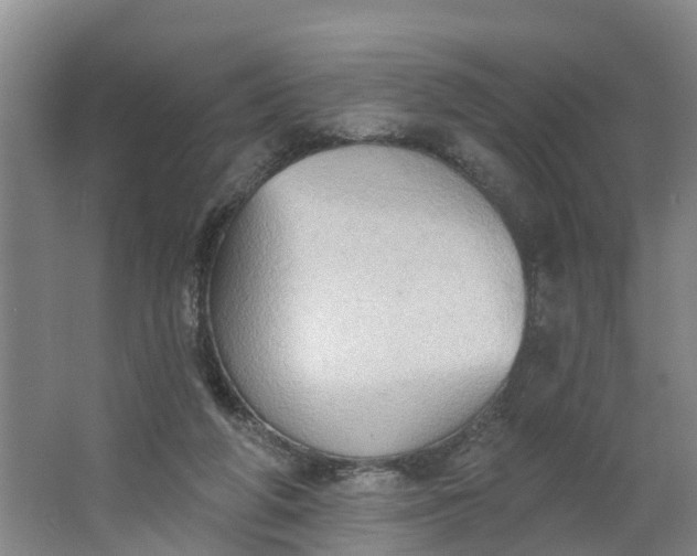 X0000062890210200601271656