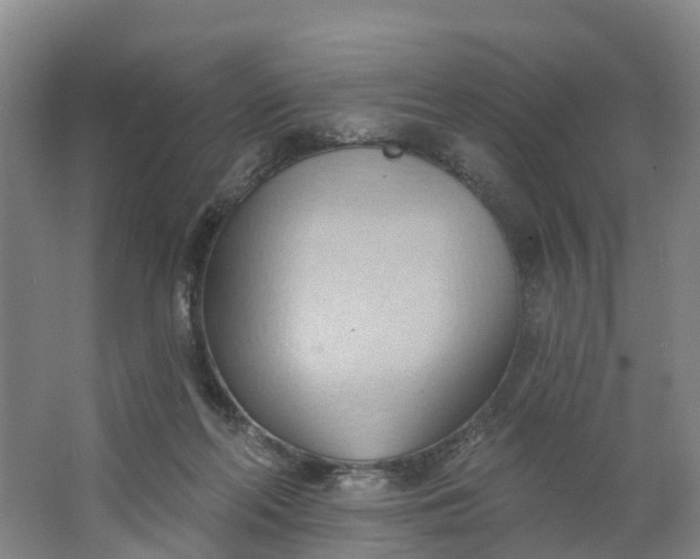 X0000062890214200601271656