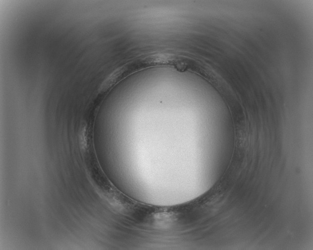 X0000062890216200601271656