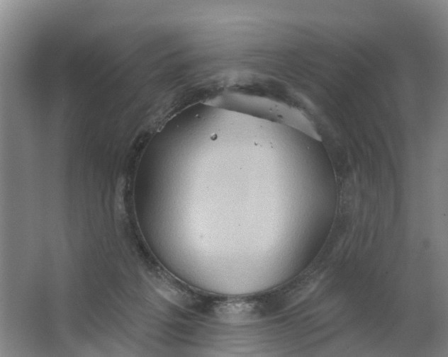 X0000062890217200601271656