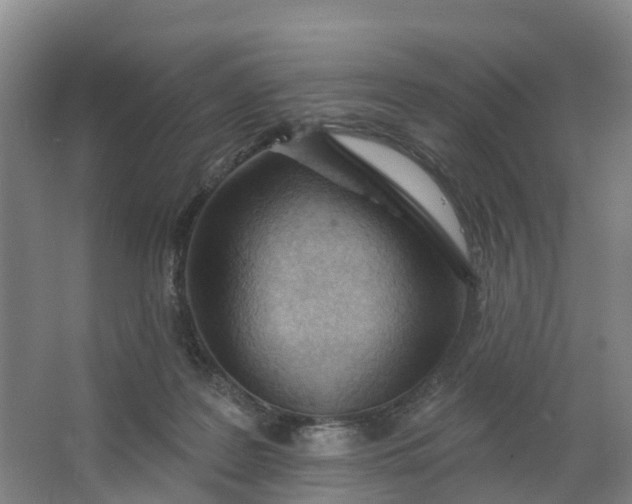 X0000062890219200601271656