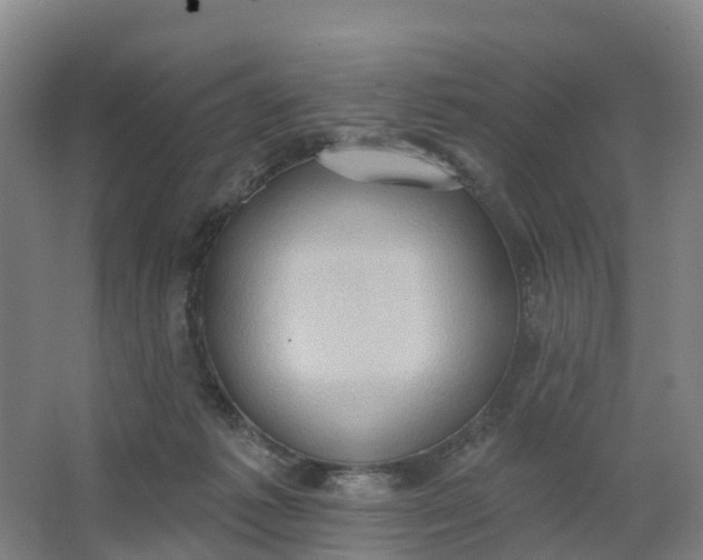 X0000062890221200601271656