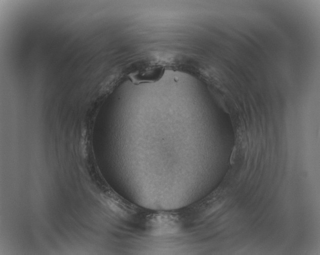 X0000062890223200601271656