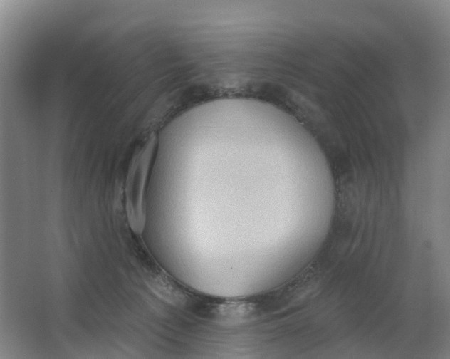 X0000062890225200601271656