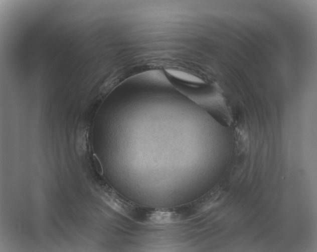 X0000062890227200601271656