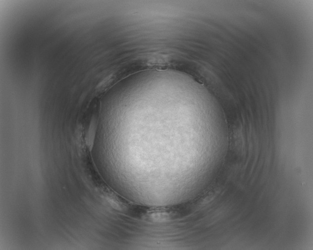 X0000062890228200601271656