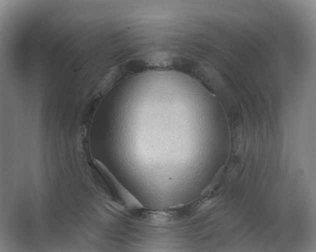 X0000062890229200601271656