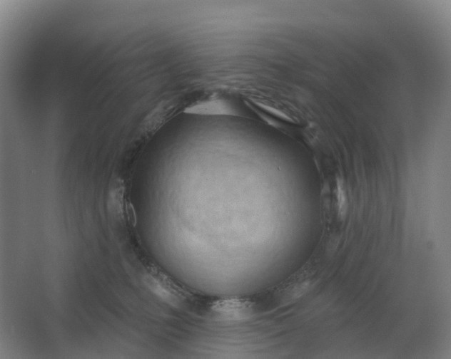 X0000062890231200601271656