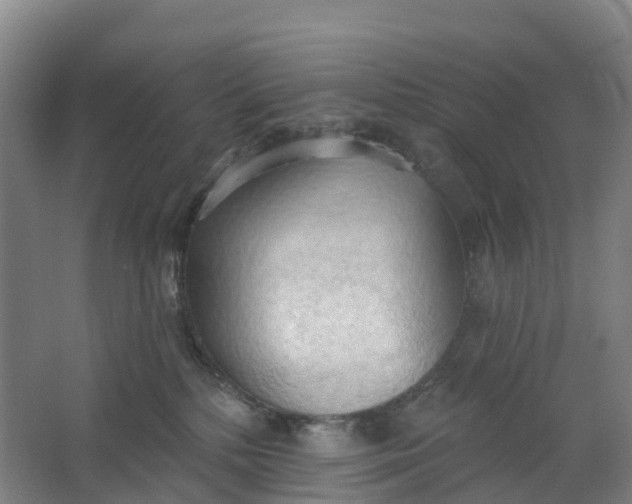 X0000062890232200601271656