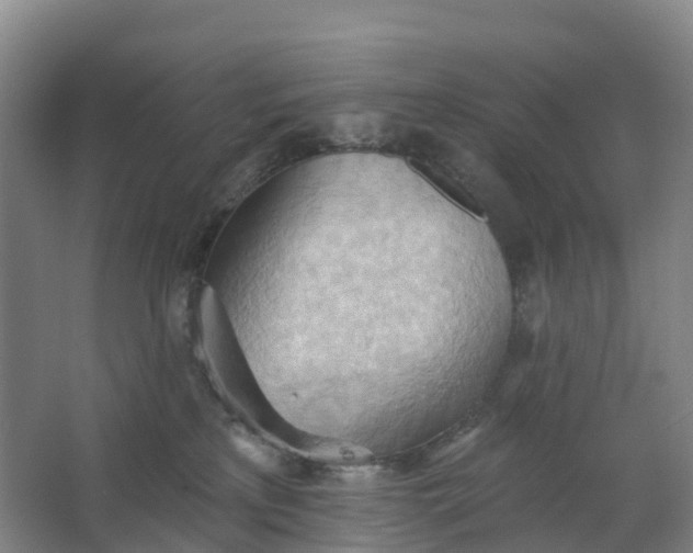 X0000062890233200601271656