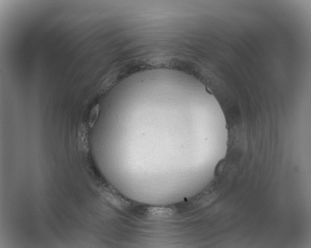 X0000062890234200601271656