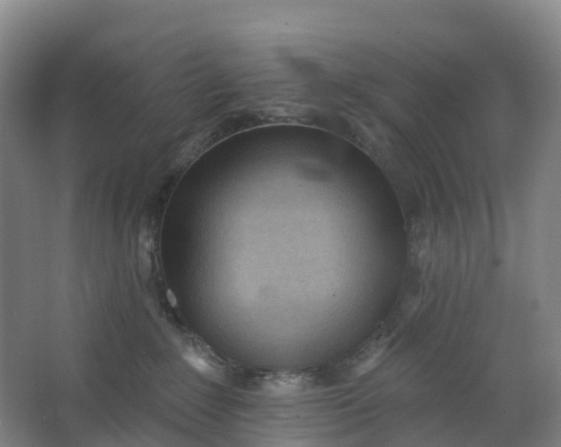 X0000062890235200601271656