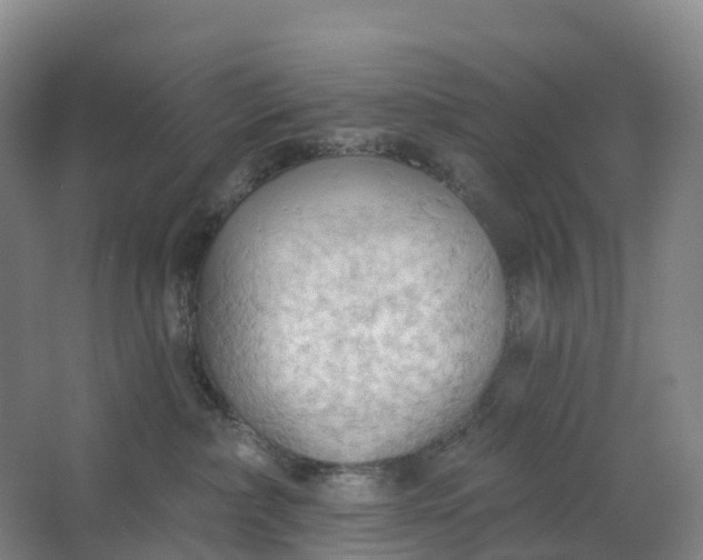 X0000062890236200601271656