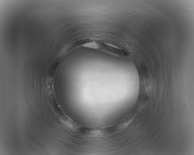 X0000062890237200601271656