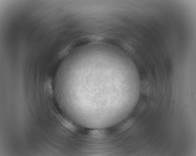 X0000062890238200601271656