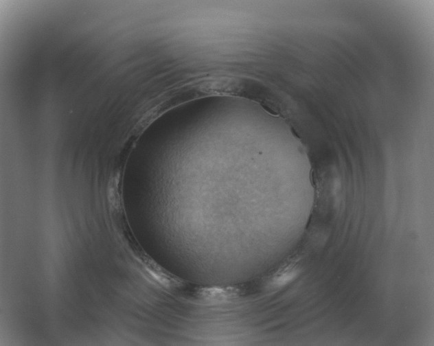 X0000062890239200601271656