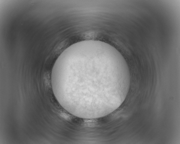 X0000062890240200601271656