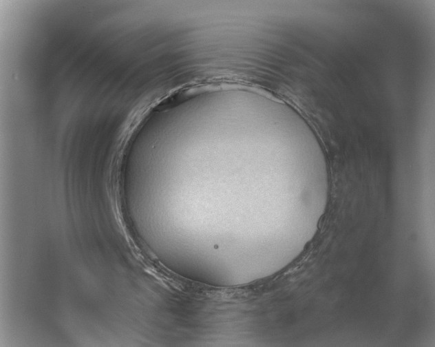 X0000062890241200601271655