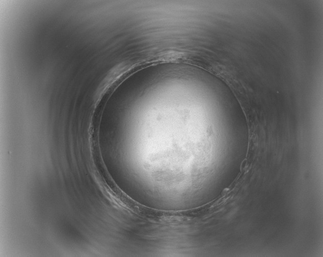 X0000062890242200601271655