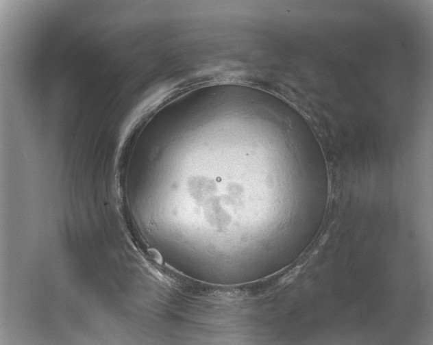 X0000062890245200601271655