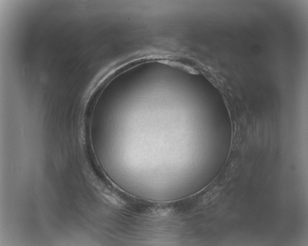 X0000062890247200601271655