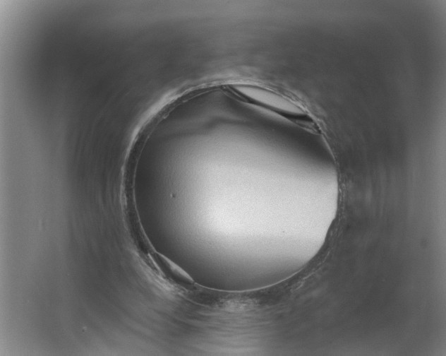 X0000062890248200601271655