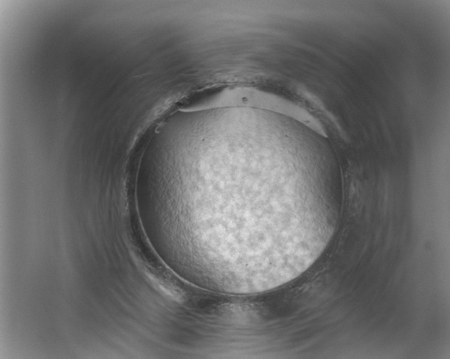 X0000062890250200601271655