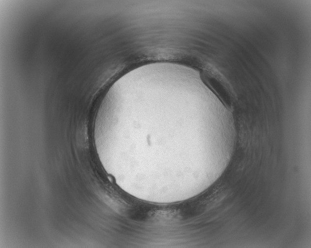 X0000062890251200601271655