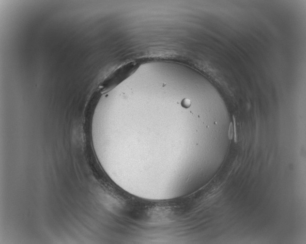 X0000062890252200601271655